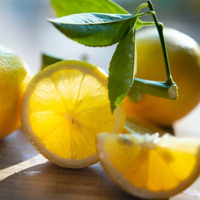 Zoom oil painting project