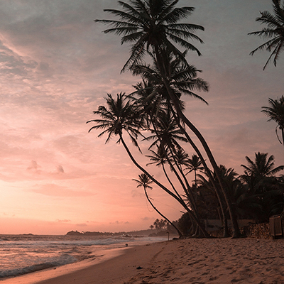 Zoom oil painting project