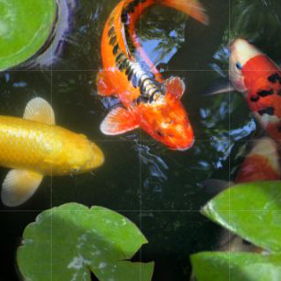 Zoom oil painting project